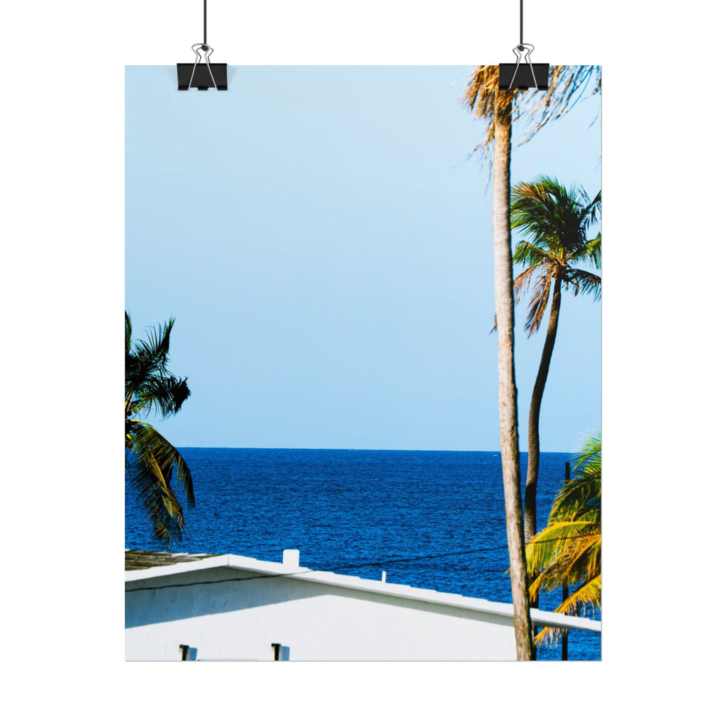 Ocean Park - Rolled Palm Tree Seascape Wall Art