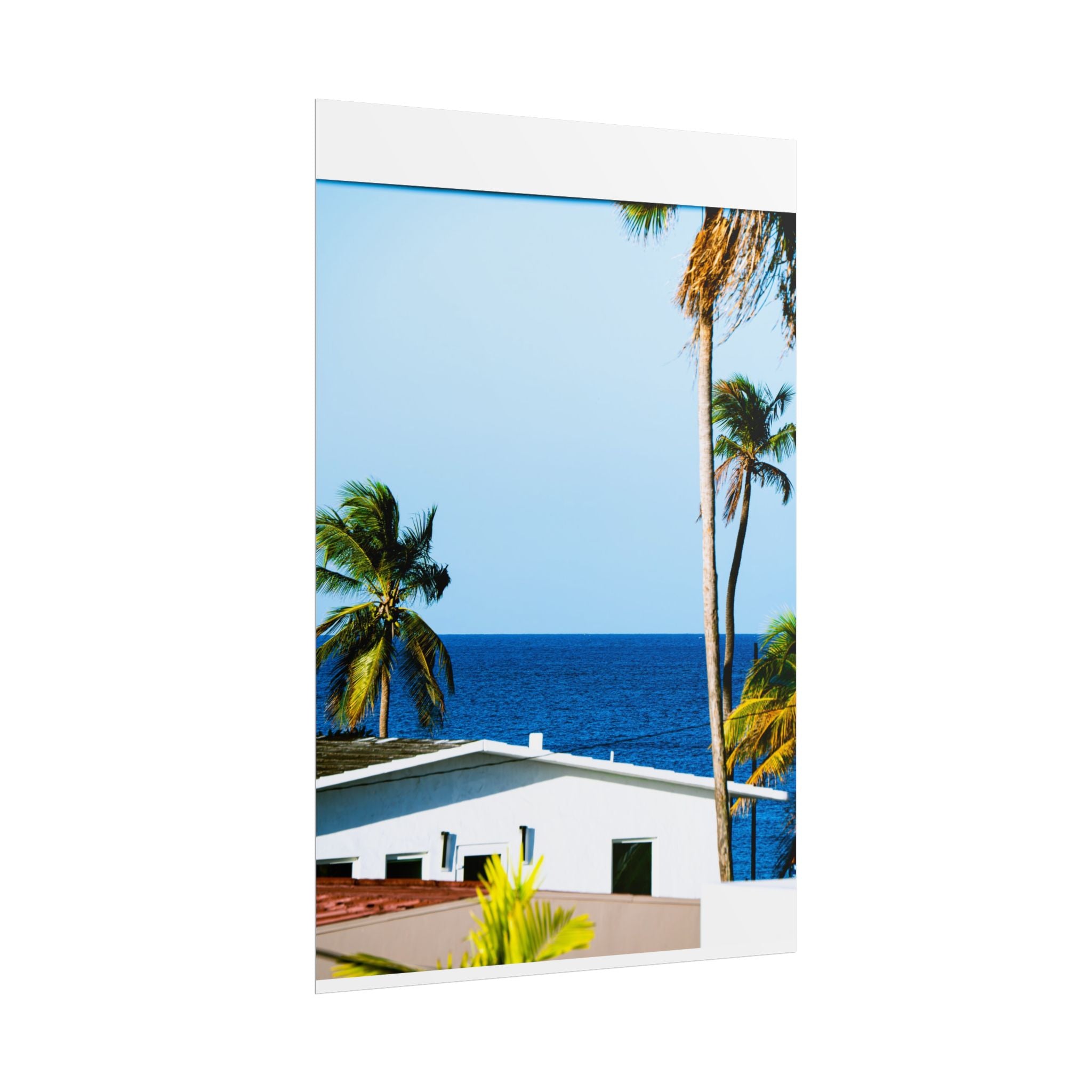 Ocean Park - Rolled Palm Tree Seascape Wall Art