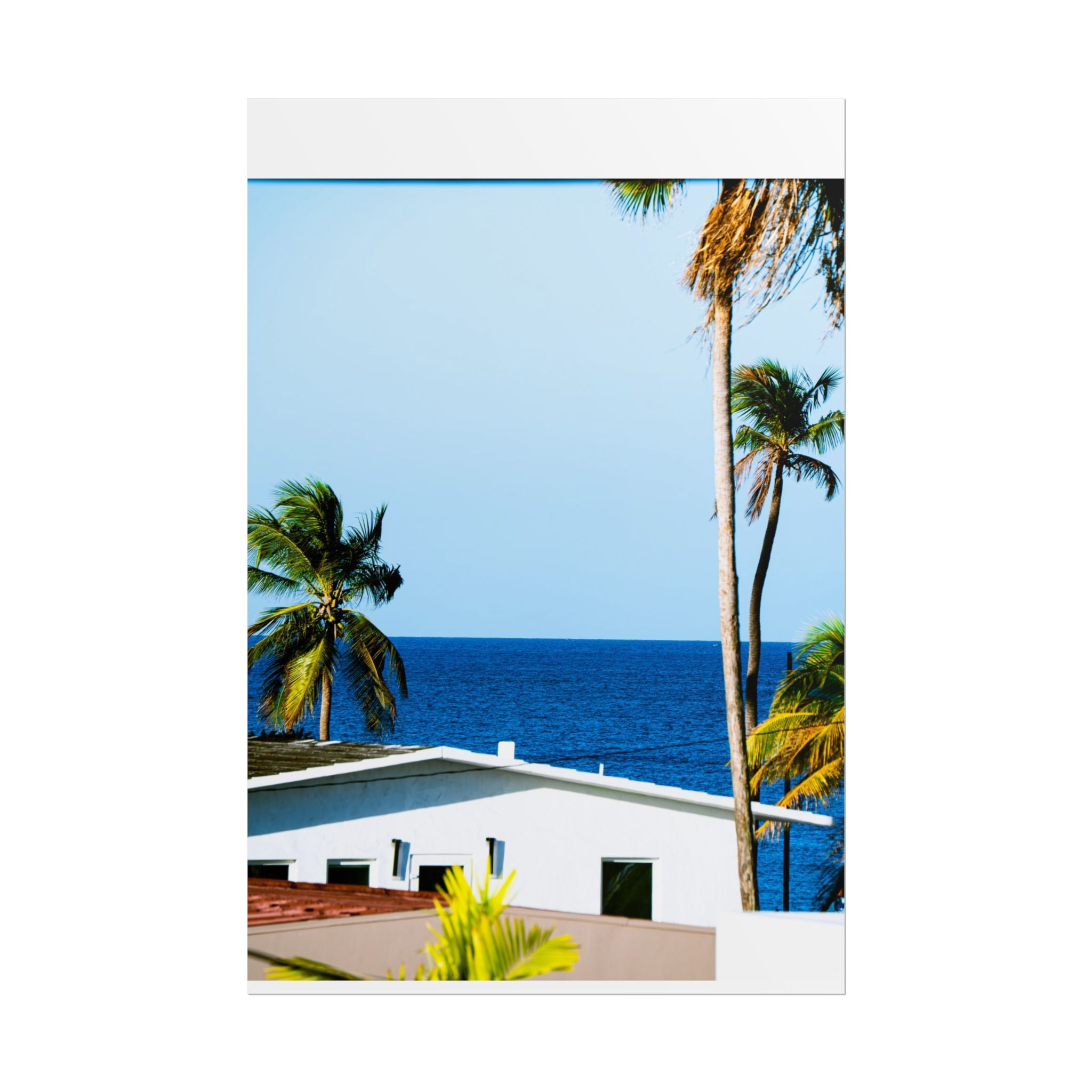 Ocean Park - Rolled Palm Tree Seascape Wall Art