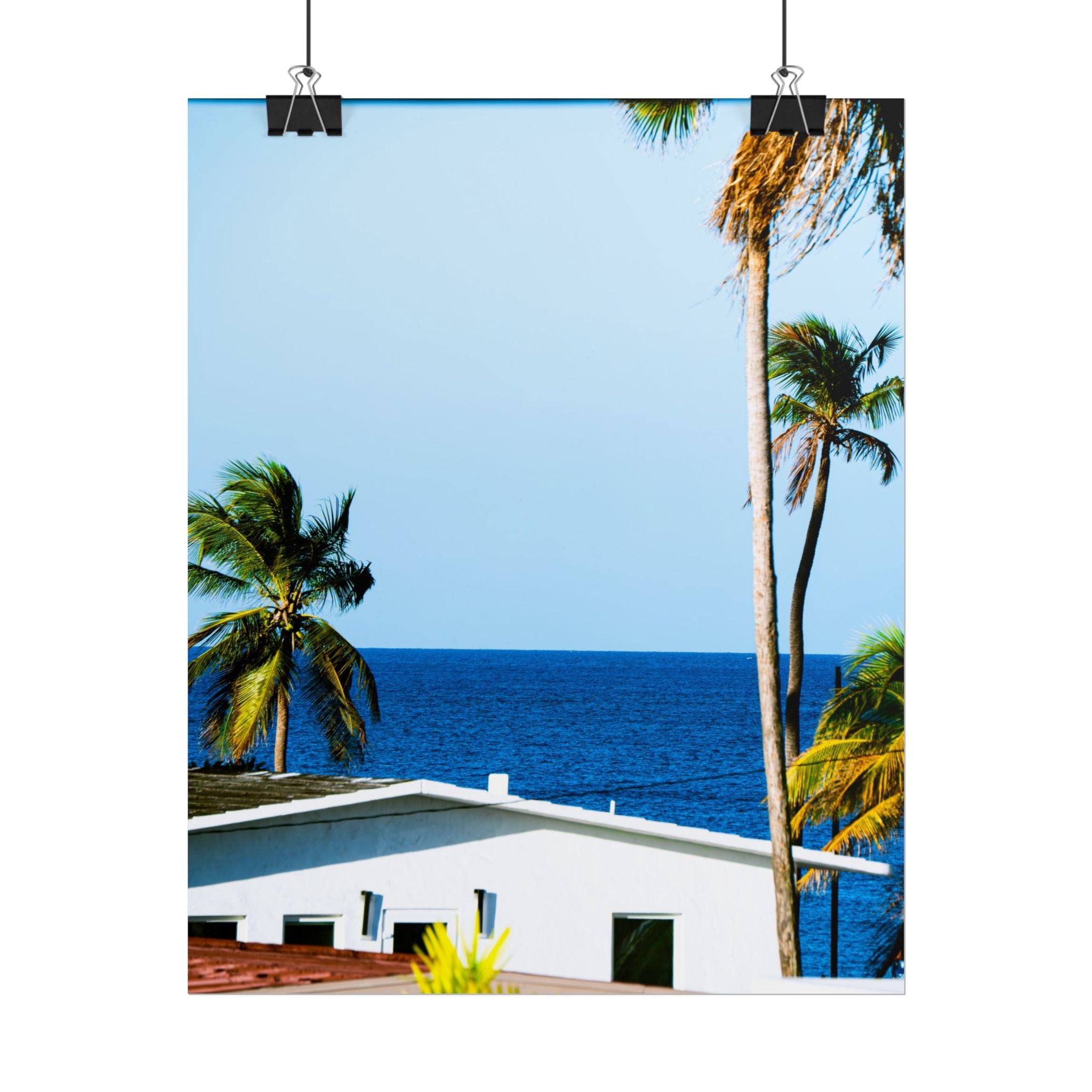 Ocean Park - Rolled Palm Tree Seascape Wall Art