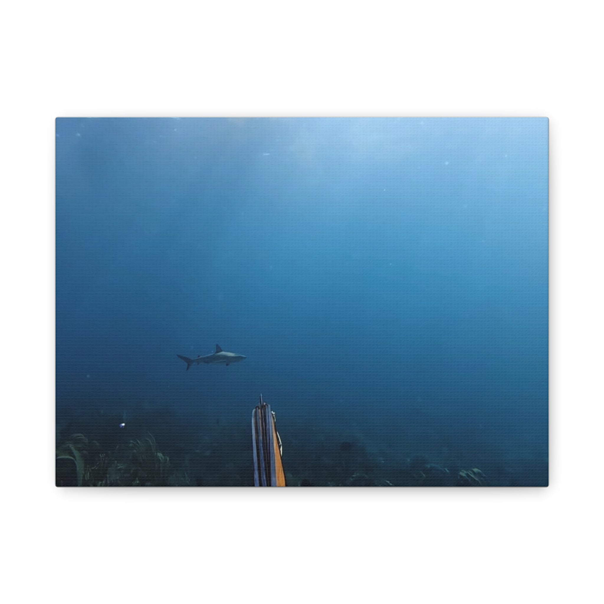 Shark Spearfishing Canvas Print — Underwater Ocean Photography Wall Art