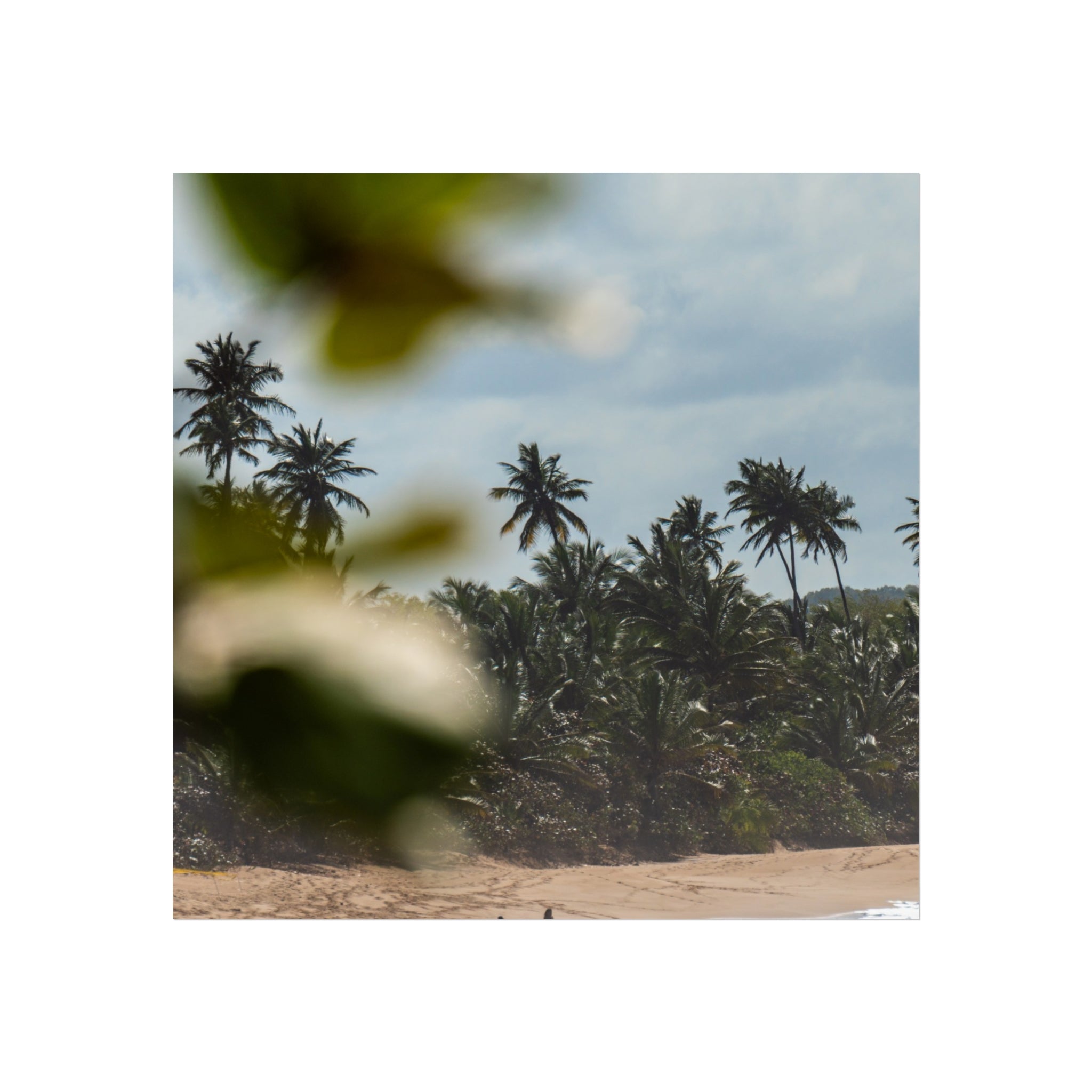 Tropical Beach Fine Art Poster — Palm Trees & Seaside Calm