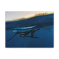 Underwater Spearfishing Canvas Wall Art — Matte Stretched 1.25"