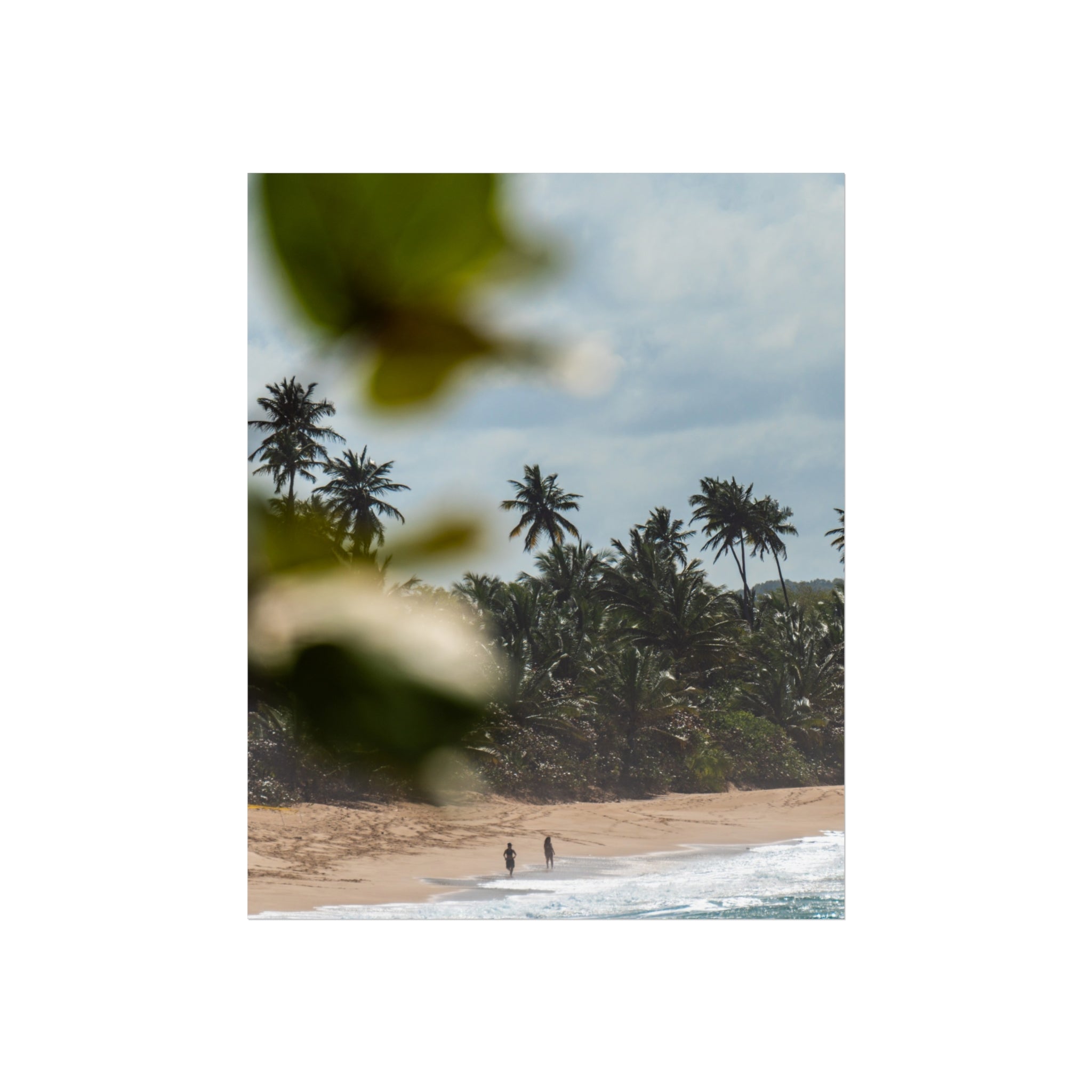 Tropical Beach Fine Art Poster — Palm Trees & Seaside Calm