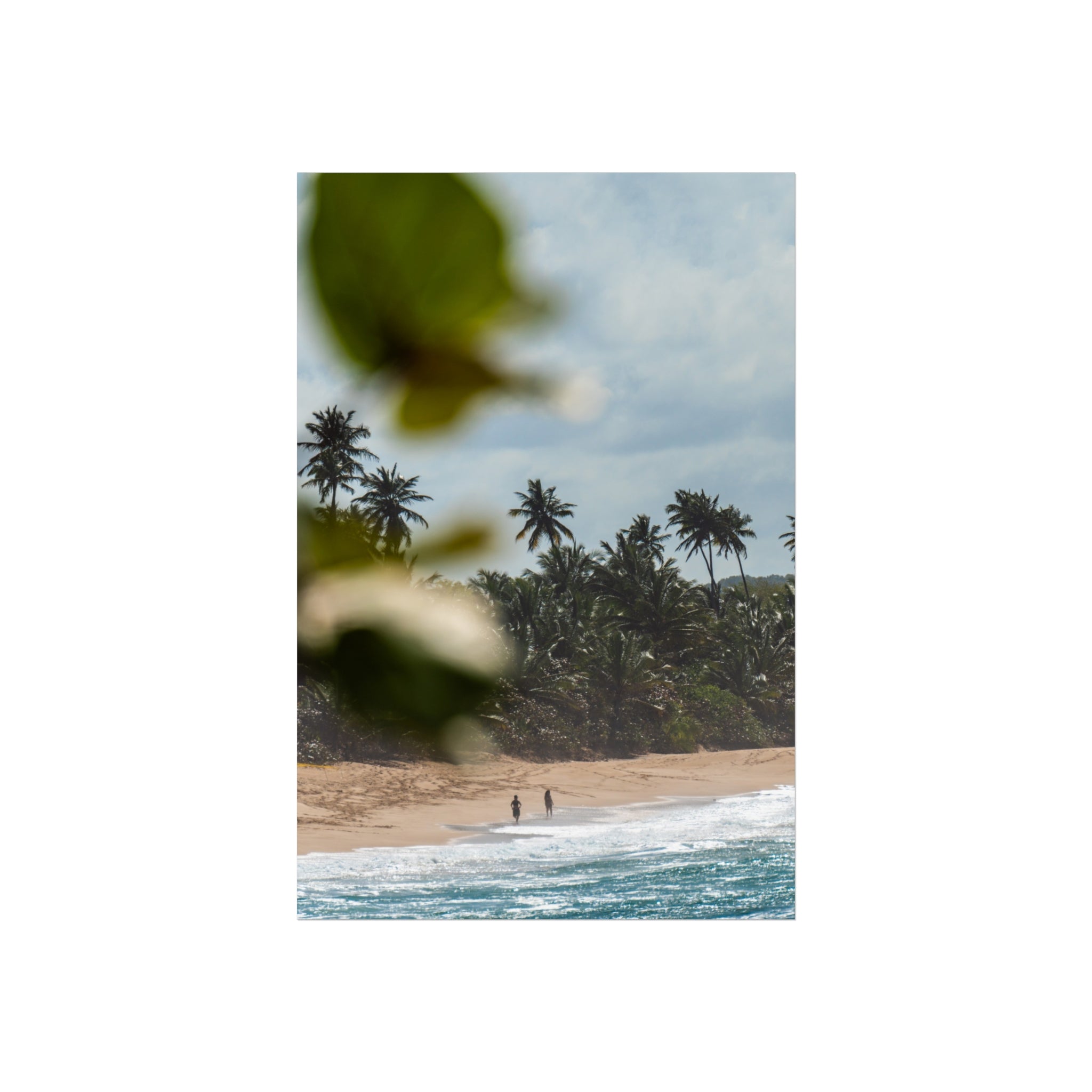 Tropical Beach Fine Art Poster — Palm Trees & Seaside Calm