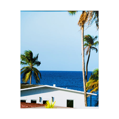 Ocean Park - Rolled Palm Tree Seascape Wall Art