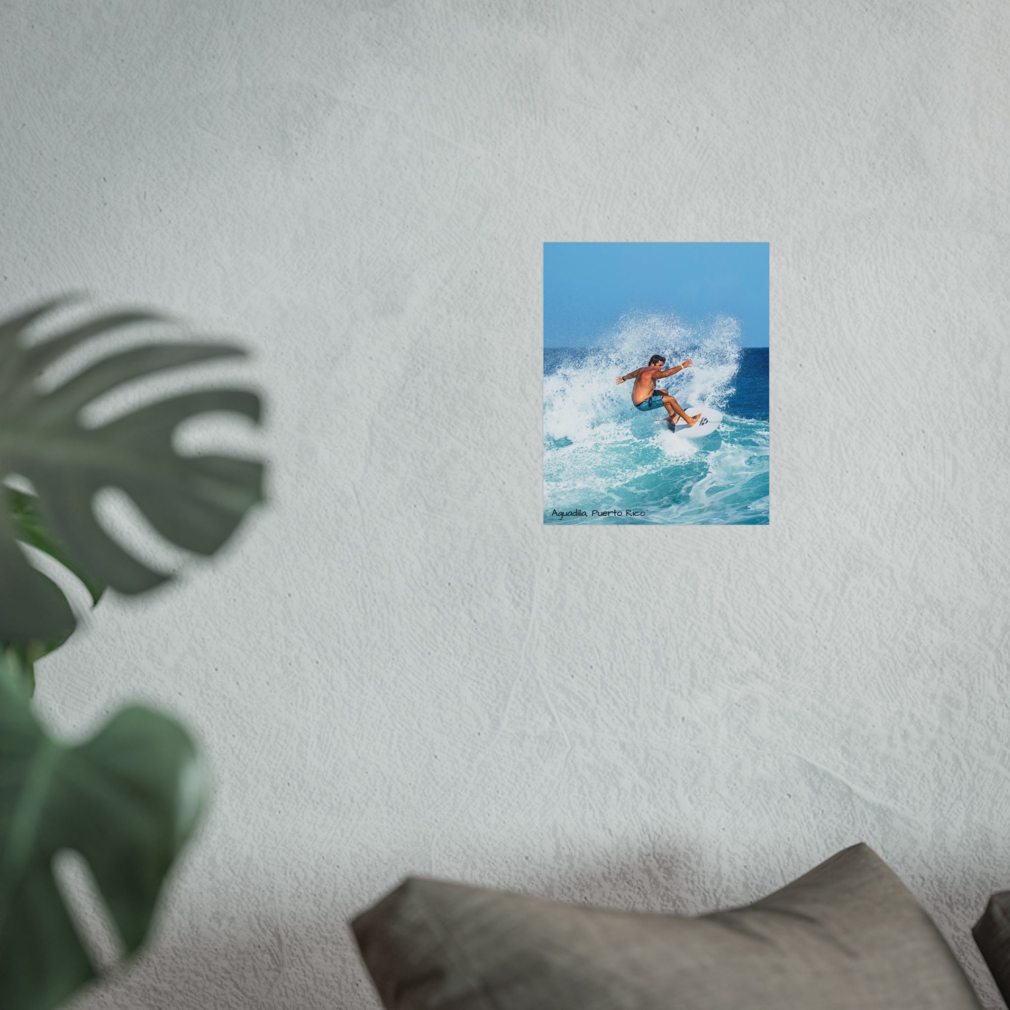 Fine Art Posters