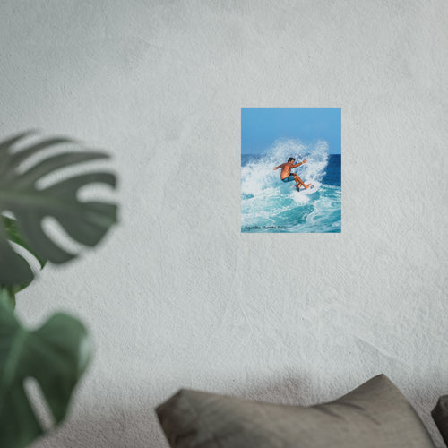 Fine Art Posters