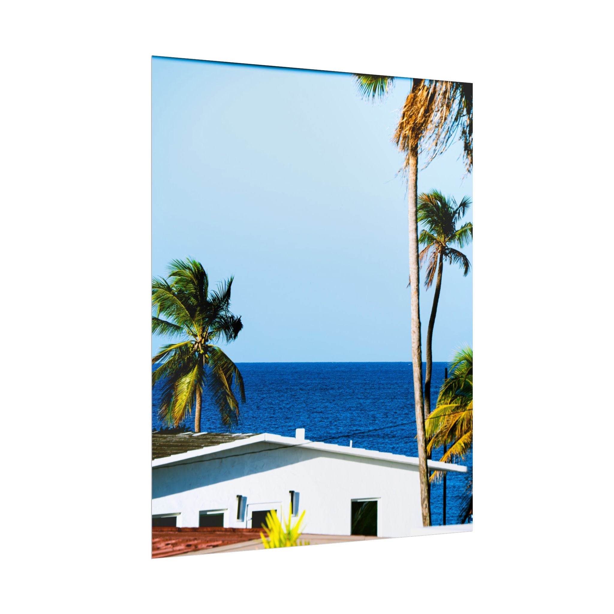 Ocean Park - Rolled Palm Tree Seascape Wall Art