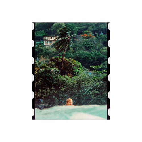 Fine Art Posters