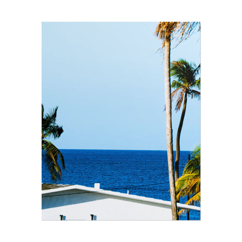 Ocean Park - Rolled Palm Tree Seascape Wall Art