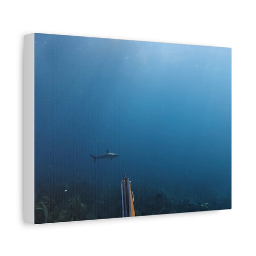 Shark Spearfishing Canvas Print — Underwater Ocean Photography Wall Art