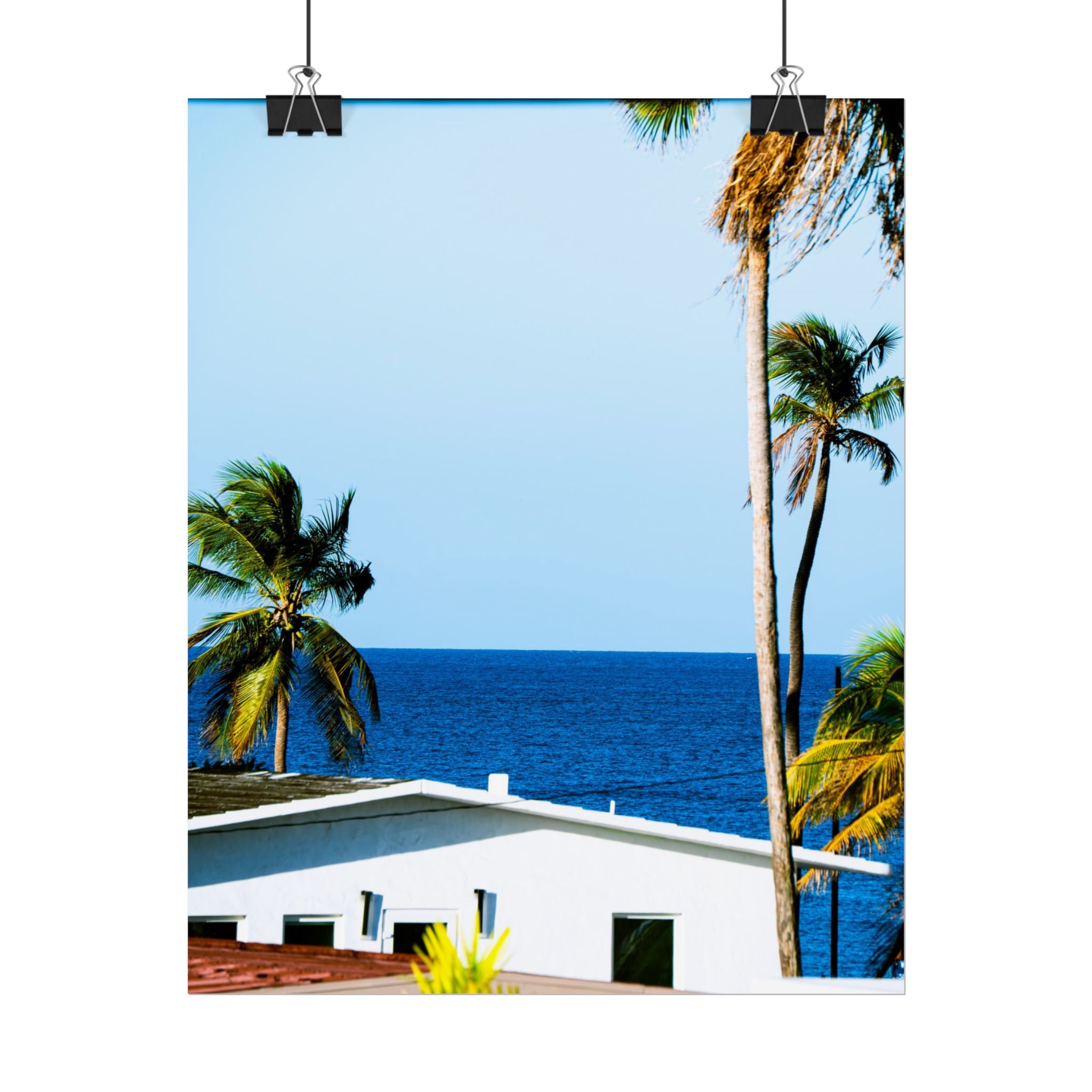 Ocean Park - Rolled Palm Tree Seascape Wall Art