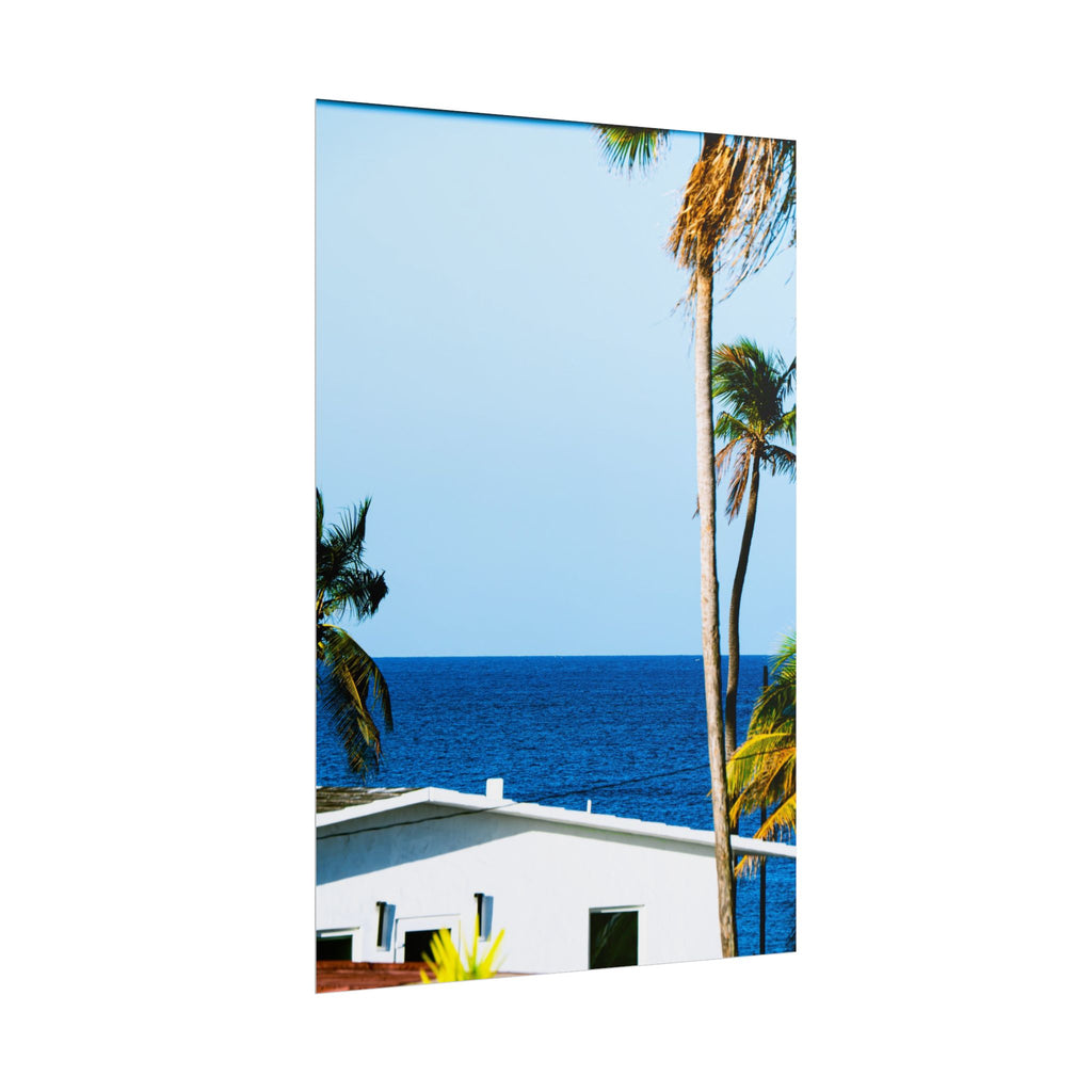 Ocean Park - Rolled Palm Tree Seascape Wall Art
