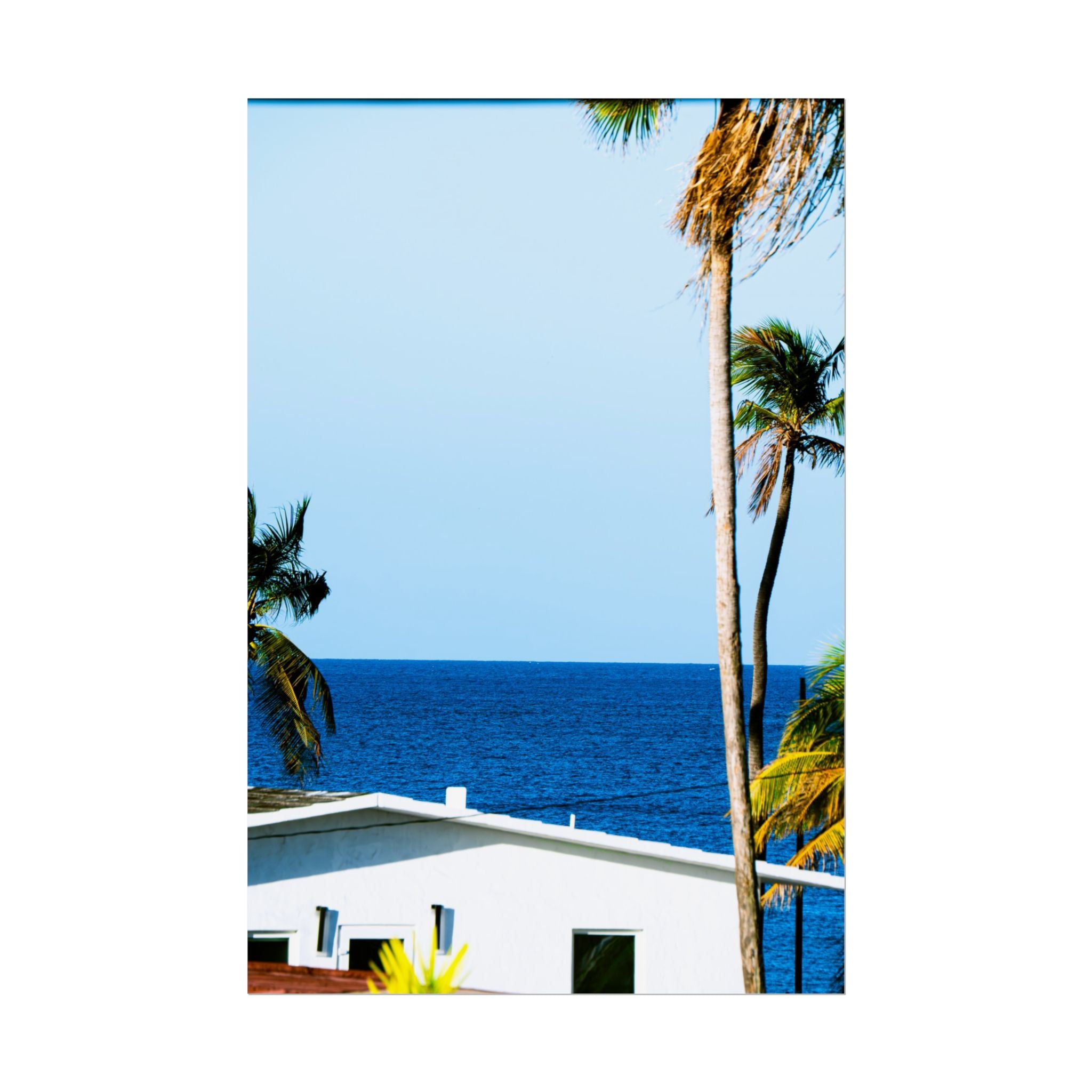 Ocean Park - Rolled Palm Tree Seascape Wall Art
