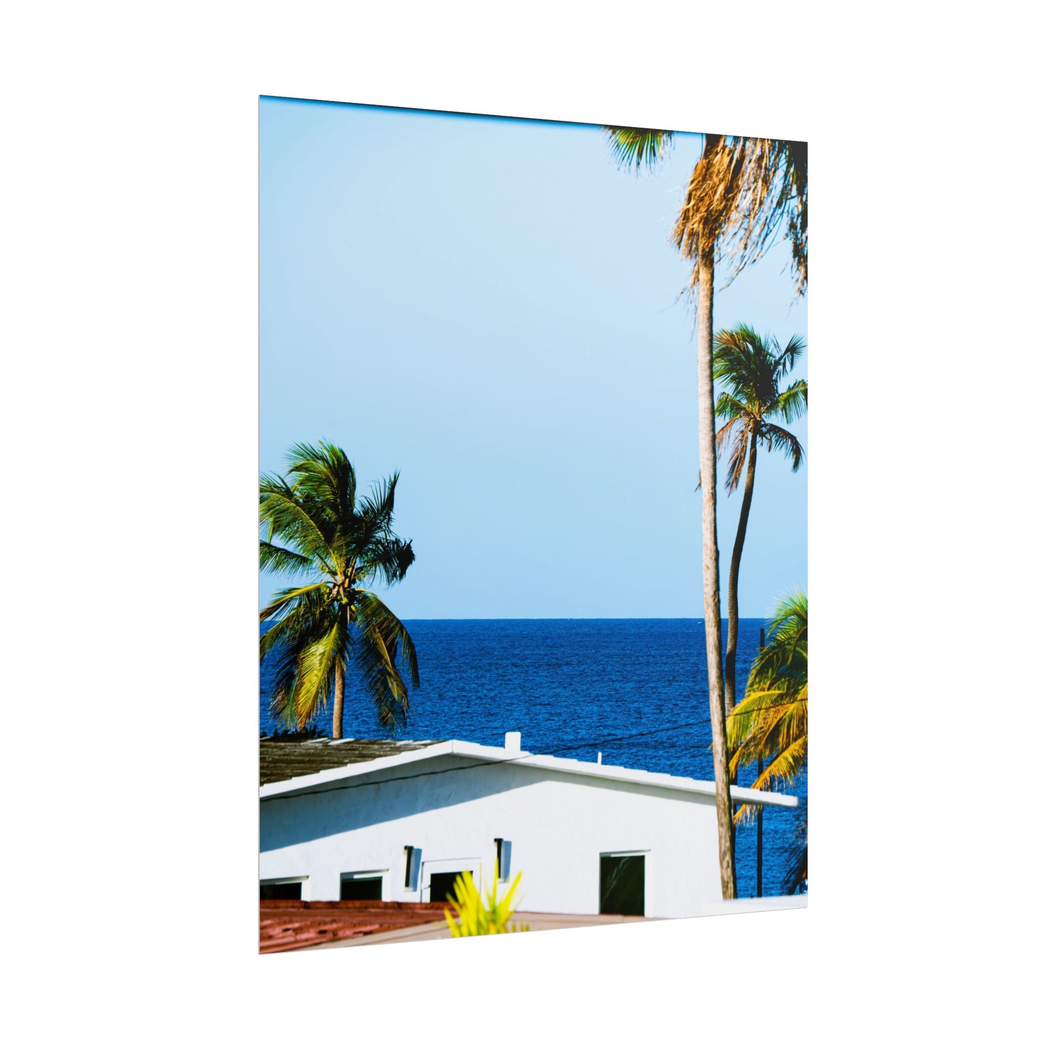 Ocean Park - Rolled Palm Tree Seascape Wall Art