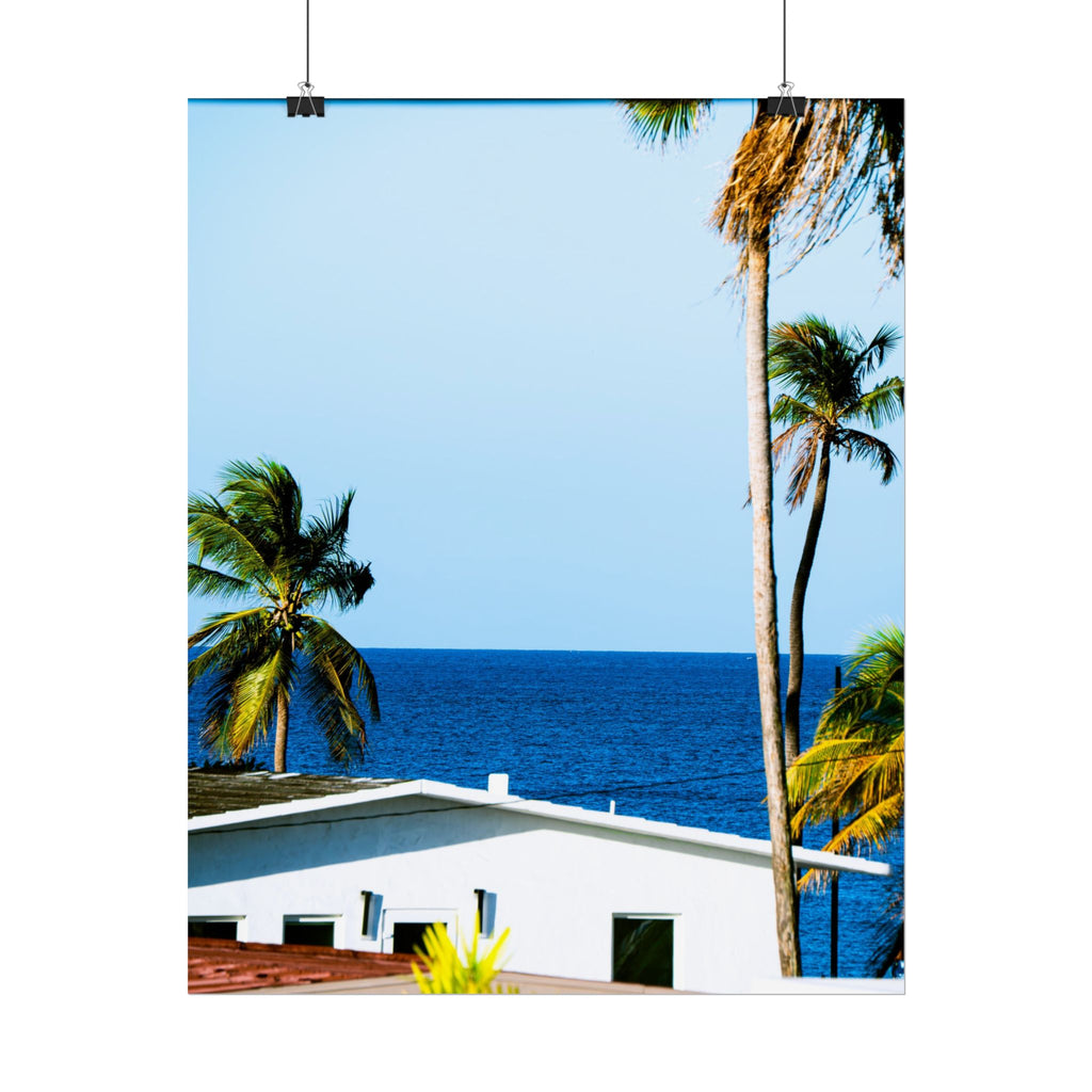 Ocean Park - Rolled Palm Tree Seascape Wall Art