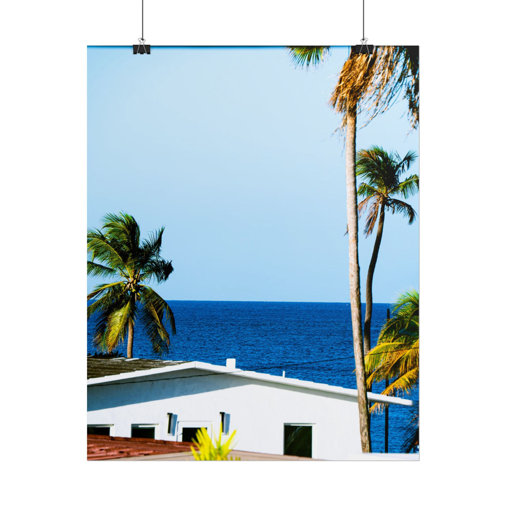 Ocean Park - Rolled Palm Tree Seascape Wall Art