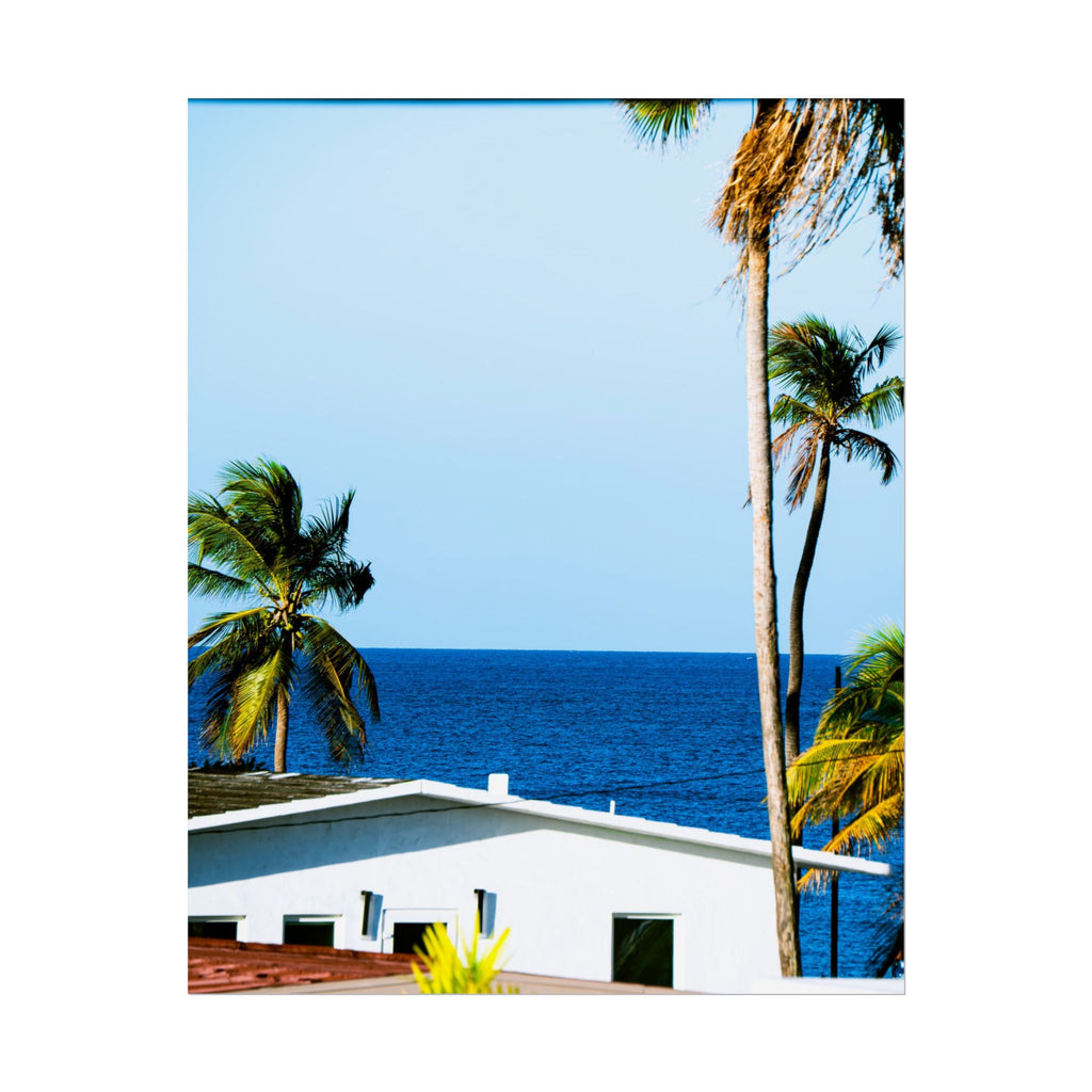 Ocean Park - Rolled Palm Tree Seascape Wall Art
